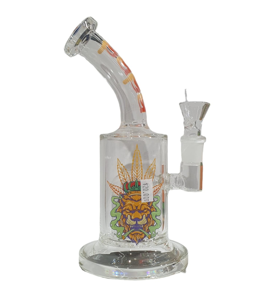 Baba Lion Cylinder shape Design Water Pipe 9'