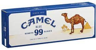 Camel